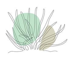 abstract aloe plant, Algae or Grass Continuous One Line Drawing vector