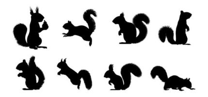 set of squirrel silhouettes in various poses vector
