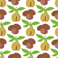 Nutmeg seamless pattern vector