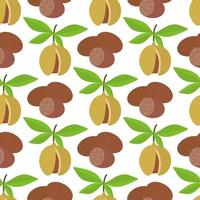 Nutmeg seamless pattern vector