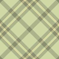Plaid pattern vector. Check fabric texture. Seamless textile design for clothes, paper print. vector