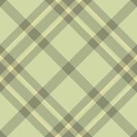 Plaid pattern vector. Check fabric texture. Seamless textile design for clothes, paper print. vector