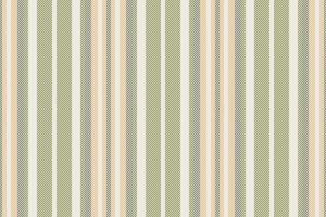 Vertical lines stripe background. Vector stripes pattern seamless fabric texture. Geometric striped line abstract design.