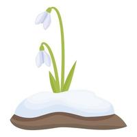 Snowdrop flora icon cartoon vector. Spring grass vector