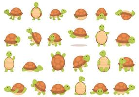 Tortuga mascota íconos conjunto dibujos animados vector. reptil cáscara vector