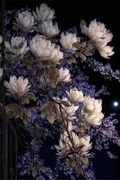 tree with white flowers in front of a full moon. . photo