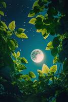 full moon is seen through the leaves of a tree. . photo