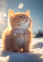 cat that is sitting in a bowl in the snow. . photo