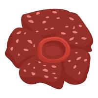 rafflesia icono dibujos animados vector. tropical floral vector