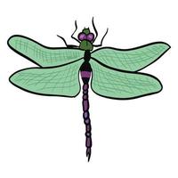 Beautiful green dragon fly ,good for graphic design resources. vector