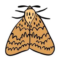 Beautiful cream wings moth ,good for graphic design resources. vector