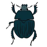 elegant black beetle ,good for graphic design resources. vector