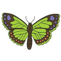 Beautiful green wings moth ,good for graphic design resources. vector