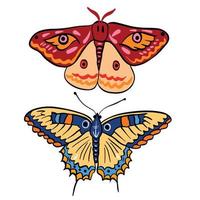 conjuntos de dos hermosa mariposa y polilla ,bien para gráfico diseño recursos. vector