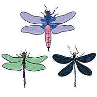 Sets of three dragon flys,good for graphic design resources. vector