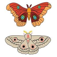 Sets of two beautiful butterfly and moth ,good for graphic design resources. vector