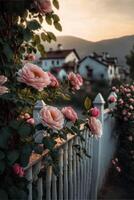 white fence with pink roses growing on it. . photo