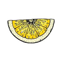 Lemon slice. Colorful hand drawn vector illustration in sketch style isolated on white background. Citrus juicy yellow fruit