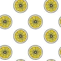 Lemon slice seamless pattern. Colorful hand drawn vector illustration in sketch style. Tropical exotic citrus fruit summer background