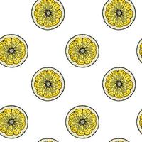 Lemon slice seamless pattern. Colorful hand drawn vector illustration in sketch style. Tropical exotic citrus fruit summer background