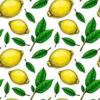 Lemon seamless pattern. Colorful hand drawn vector illustration in sketch style. Tropical exotic citrus fruit summer background