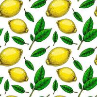 Lemon seamless pattern. Colorful hand drawn vector illustration in sketch style. Tropical exotic citrus fruit summer background