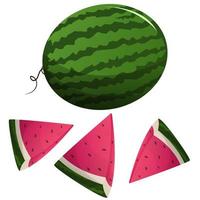 Vector cartoon juicy watermelon fruit, fresh cartoon watermelon on white background