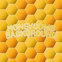 Hexagonal gradient vector background honeycomb vector background