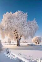 group of trees that are standing in the snow. . photo