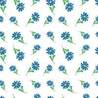 vector illustration seamless pattern doodle cornflowers on white background