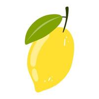 Hand drawn lemon icon. Vector flat illustration of whole tasty citrus, healthy food, summer fresh fruit