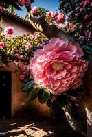 large pink flower sitting on top of a tree. . photo