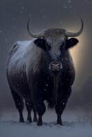 bull that is standing in the snow. . photo