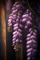 bunch of purple flowers hanging from a tree. . photo