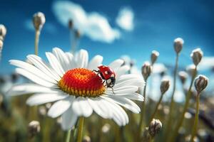 A ladybug is sitting on a daisy flower. Generative AI photo