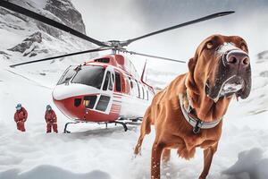 Red rescue helicopter in the winter mountains and rescue dog. photo