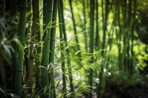 Bamboo forest daylight. Generate Ai photo