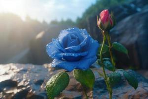 Blue rose after rain. Generate Ai photo