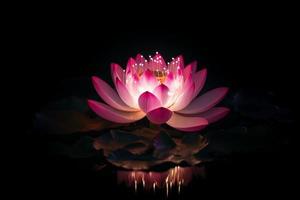 Spectral light lotus. Generate Ai photo