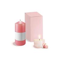 Realistic Detailed 3d Magnolia Scented Candle Wax Set. Vector