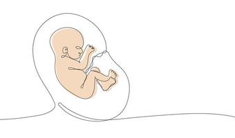 Continuous one line drawing of baby in womb vector