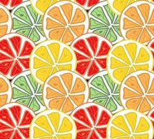 Seamless bright light pattern with Fresh citrus vector
