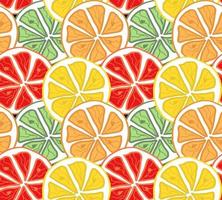 Seamless bright light pattern with Fresh citrus vector