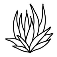 Aesthetic floral plant elements illustration vector