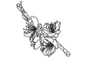 a blossoming tree branch is drawn in black outline, it is intended for print, postcard, tattoo, logo, March 8, Valentine and you can use it in different cases. vector