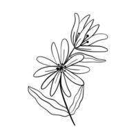 siluetas negras de hierba, flores y hierbas aisladas sobre fondo blanco. boceto dibujado a mano flores e insectos. vector