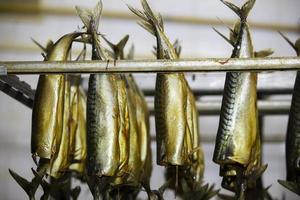 ahumado caballa en el industrial producción de un pescado fábrica. foto