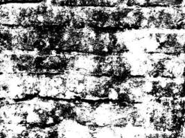 Texture, brick, wall background. brick texture vector