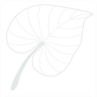 Line art leaf vector