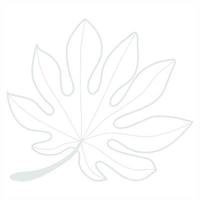 Line art leaf vector